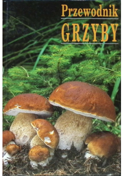 Przewodnik Grzyby