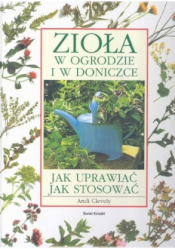 Zioła w ogrodzie w doniczce