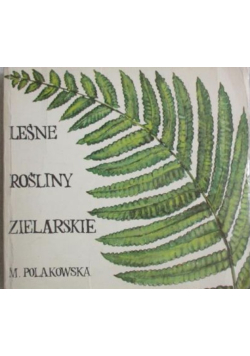 Leśne rośliny zielarskie