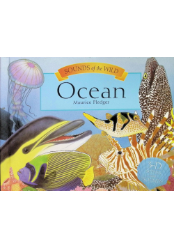 Maurice Pledger Noisy World - Ocean