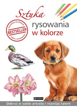 Sztuka rysowania w kolorze