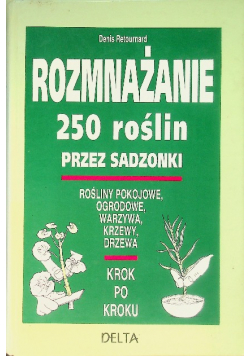 Rozmnażanie 250 roślin przez sadzonki