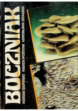 Boczniak
