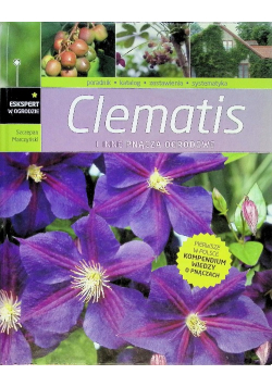 Clematis i inne pnącza ogrodowe