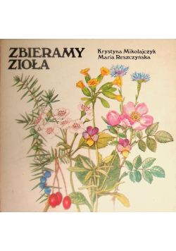Zbieramy zioła