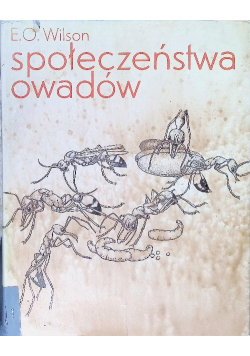 Społeczeństwa owadów