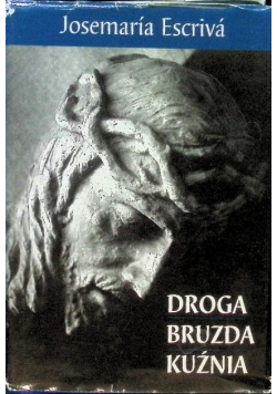 Droga Bruzda Kuźnia