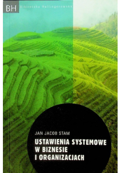 Ustawienia systemowe w biznesie i organizacjach