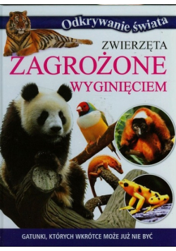 Zwierzęta zagrożone wyginięciem Gatunki których wkrótce może już nie być