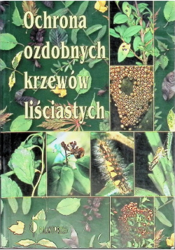 Ochrona ozdobnych krzewów liściastych