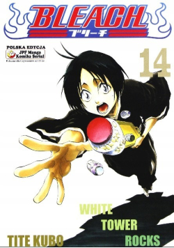Bleach Tom 14