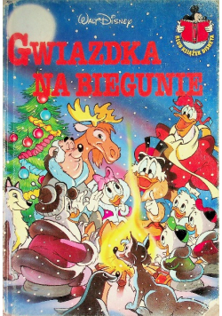 Gwiazdka na biegunie
