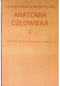 Anatomia człowieka Tom V