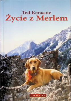 Życie z Merlem