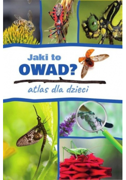 Jaki to owad? Atlas dla dzieci