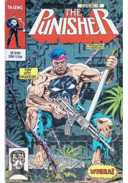 The Punisher Nr 12