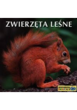 Zwierzęta leśne