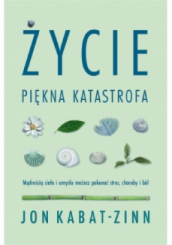 Życie, piękna katastrofa
