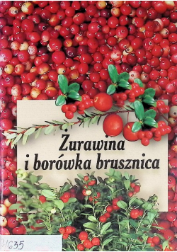 Żurawina i borówka brusznica