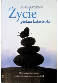Zycie piękne jak katastrofa
