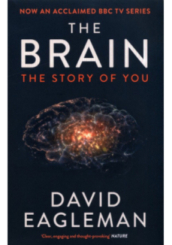 The Brain The Story of You