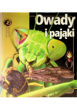 Owady i pająki