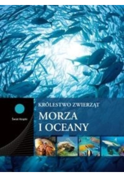 Morza i oceany