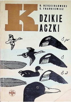 Dzikie kaczki