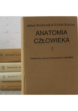 Anatomia człowieka Tom 1 do 5