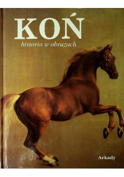 Koń historia w obrazach