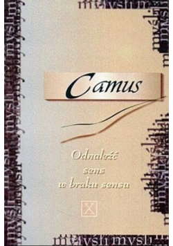 Odnaleźć sens w braku sensu