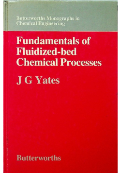 Fundamentals of fluidized bed chemical processes