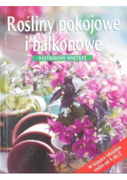 Rośliny pokojowe i balkonowe Nastrojowe wnętrze