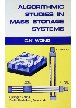 Algorithmic studies in mass storage systems