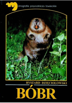 Bóbr
