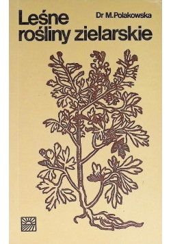 Leśne rośliny zielarskie