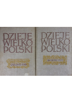 Dzieje Wielkopolski do roku 1793 Tom I i II