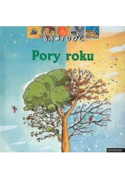 Pory roku