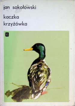Kaczka krzyżówka