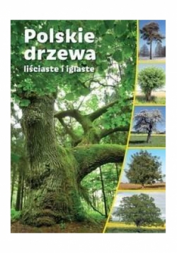 Polskie drzewa liściaste i iglaste