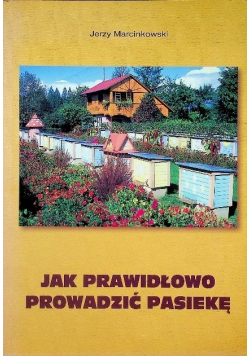 Jak prawidłowo prowadzić pasiekę