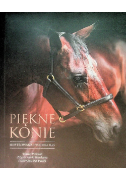 Piękne konie