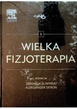Wielka fizjoterapia Tom 3