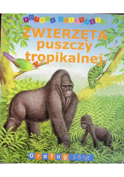 Zwierzęta Puszczy Tropikalnej