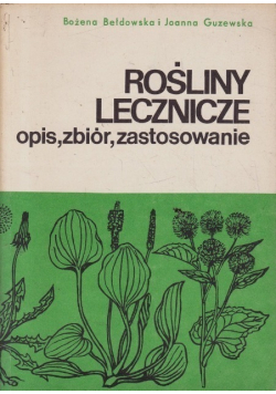 Rośliny lecznicze opis zbiór zastosowanie