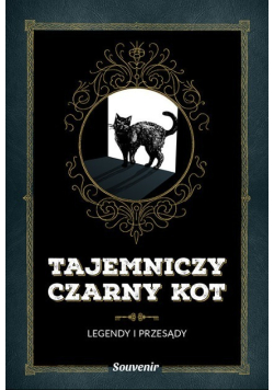 Tajemniczy czarny kot