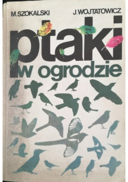 Ptak w ogrodzie