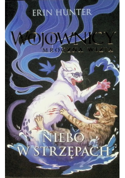 Wojownicy Mroczna wizja Niebo w strzępach