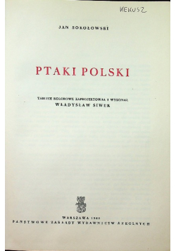 Ptaki Polski