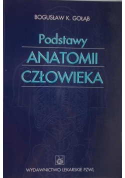 Podstawy anatomii człowieka